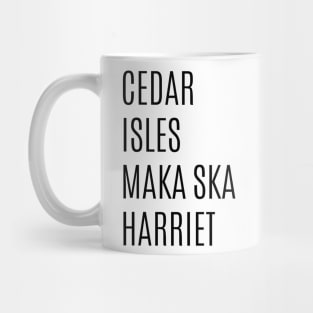 Minneapolis Chain of Lakes Mug